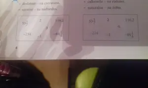 Dwa prostokąty z liczbami, jeden z zaznaczonymi ujemnymi, drugi z całkowitymi i naturalnymi.