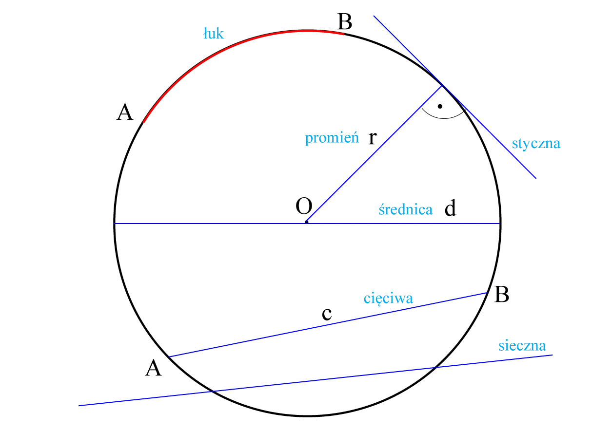 Ilustracja geometryczna koła z zaznaczonymi elementami: łuk, promień, średnica, cięciwa, sieczna i styczna.
